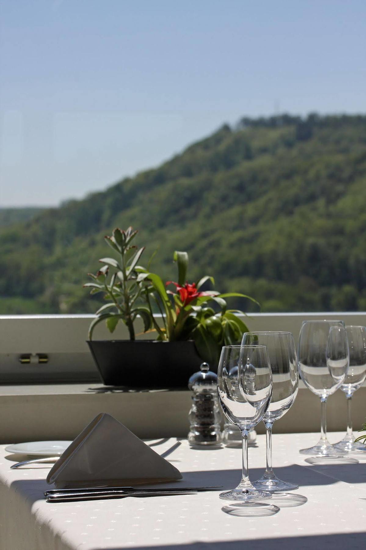 Wellness Hotel Tenedo - Thermalquellen Resort Bad Zurzach Luaran gambar